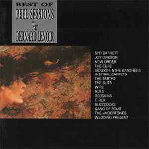 Bernard Lenoir - Best Of Peel Sessions download free
