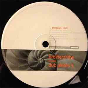 Brothers' Vibe - Dub Plates 5 download free