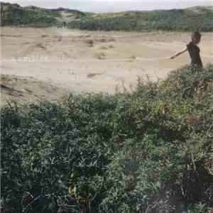 Camille - Ta douleur download free