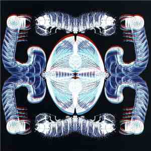 Elmore Judd - Tron Song / Don't Lie download free