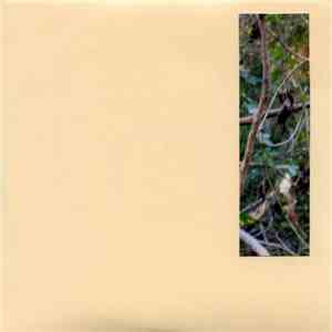 Jeph Jerman - Linguala download free