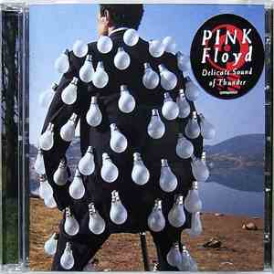 Pink Floyd - Delicate Sound Of Thunder download free
